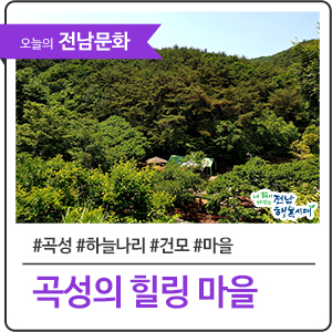  힐링이 필요할 때! 곡성으로 가자!