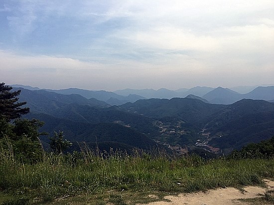  혼자 뚜벅이  당일치기 단양 여행 / 단양 장미공원, 도담삼봉, 단양 패러글라이딩, 구경시장