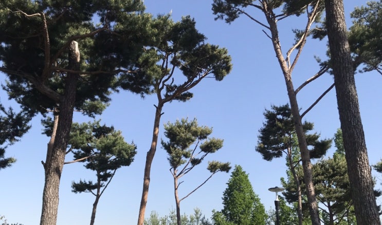  쉴 틈 없던, 5월