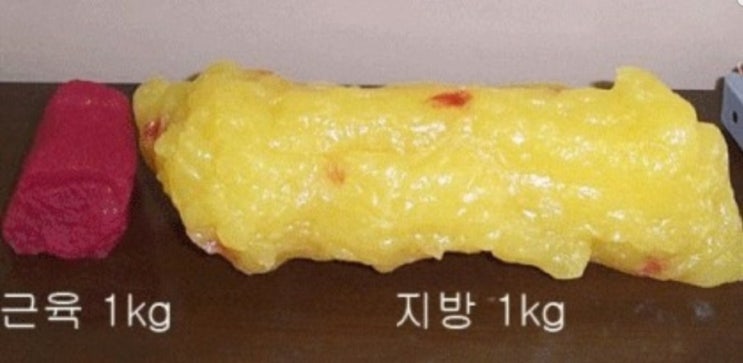  [유니크짐연산점]인생사진 건질기회 피티받고 바디프로필까지