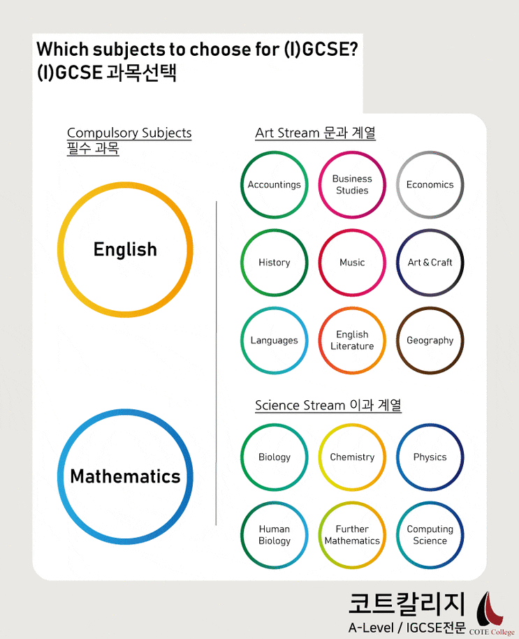  [IGCSE / GCSE] 대학 진학에 꼭 필요할까? - 코트칼리지