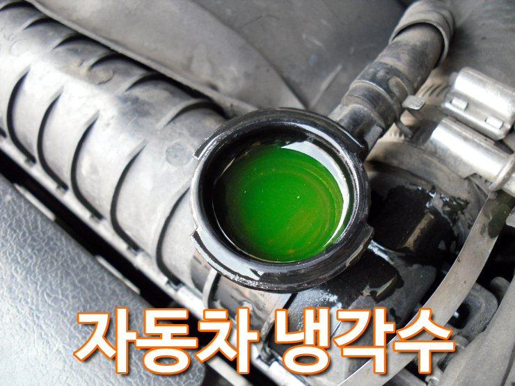 자동차 냉각수 자동차 냉각수