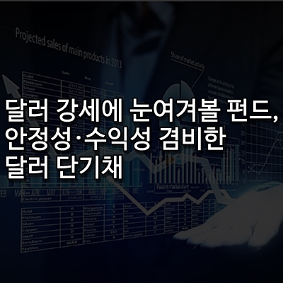 달러 강세에 눈여겨볼 펀드, 안정성·수익성 겸비한 달러 단기채