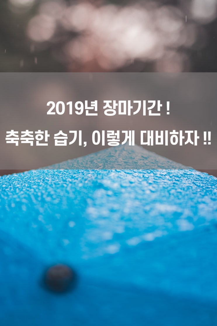  2019년 장마기간 & 장마철을 건강하고 쾌적하게 보내는 간단Tip! ~제1탄