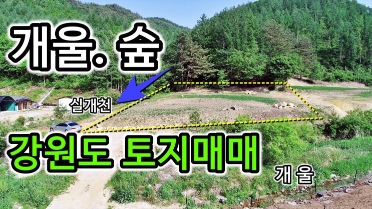  울창한 산림능선 숲은 쾌적하며 실개천 개울물 흐르며 전망좋은 저렴한 강원도 토지매매 매물(매매종료)