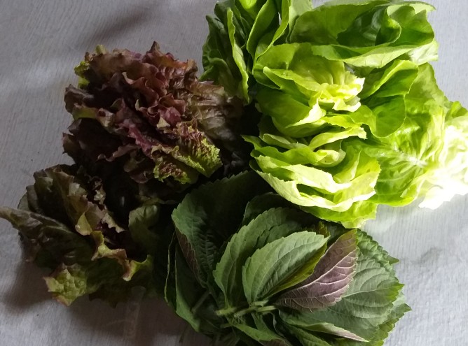  싱싱한 자연밥상, 특별한 반찬없이도 꿀맛입니다