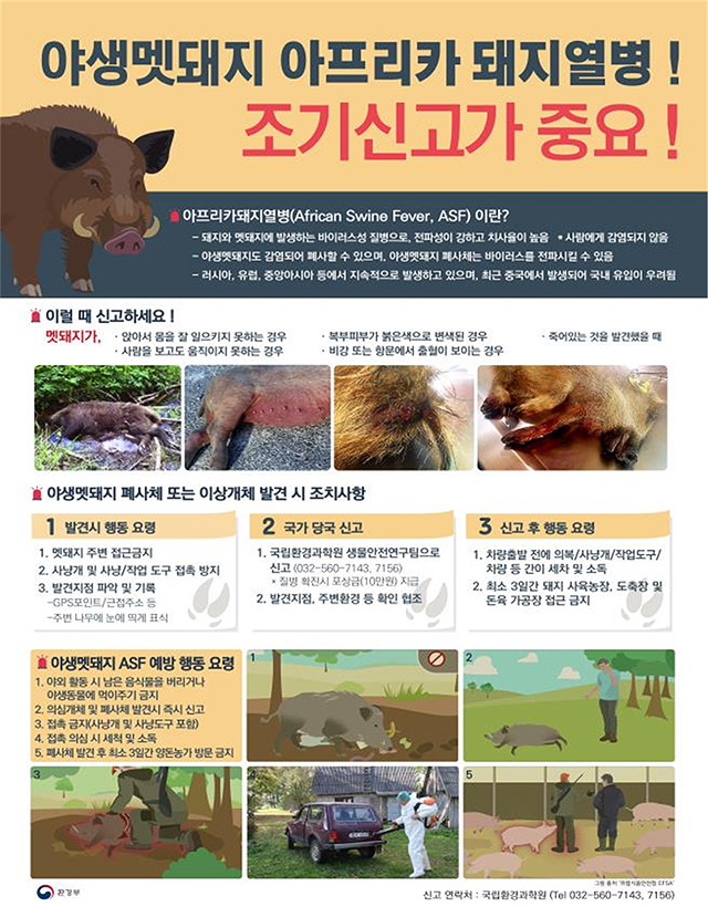  미리 알아두세요! '아프리카돼지열병' 유입·확산 방지를 위한 대응 방법