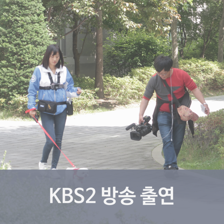  KBS 생방송 아침이 좋다 펫시터 브랜드 '와요'