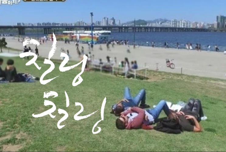  칠러(chiller), 칠링(chilling)을 아시나요?-어서 와 한국은 처음이지?(네덜란드 편)