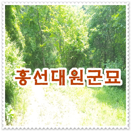  쓸쓸하게 남겨진 흥선대원군묘