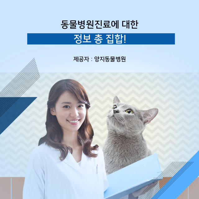  [관악구동물병원] 동물병원 진료 연관 이야기
