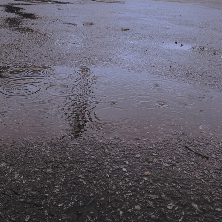  Music; Gloomy