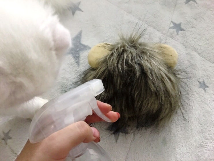  [가치가자펫] 고양이 오줌냄새 한번에 싹 잡아주는 애견탈취제 이지세이프펫 :)️