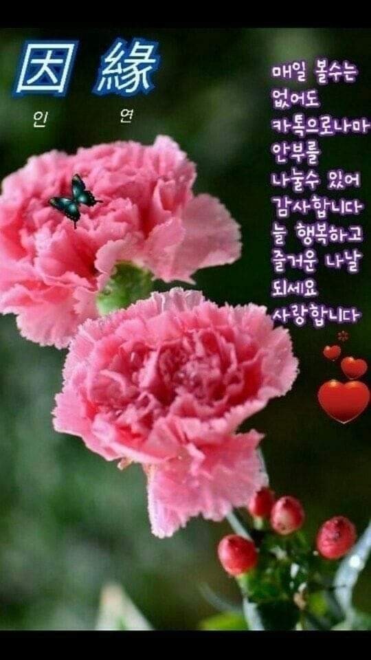  6월7일금요일