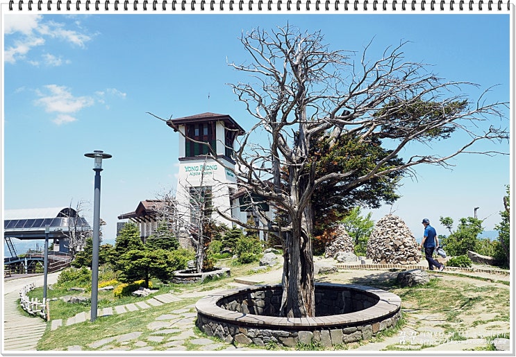  강원평창 발왕산 (드레곤프라자-드레곤캐슬-바람길-헬기장-정상-원점회귀) 산행기/교통편/등산지도/등산코스