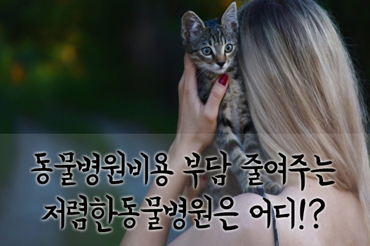  동물병원비용 부담 줄여주는 저렴한동물병원은 어디!?