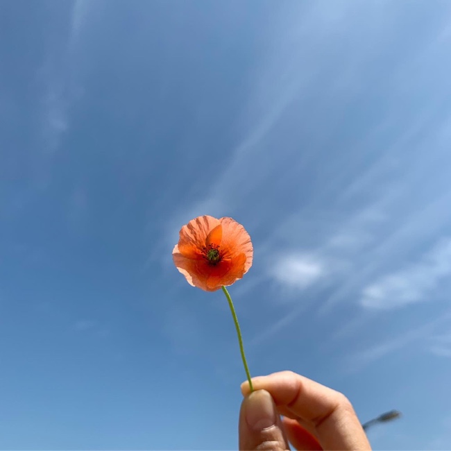  제주살이. 제주 일상.