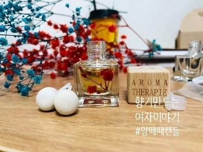  차량 송풍구형 디퓨저