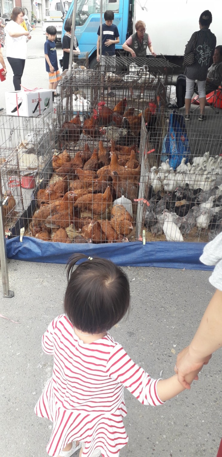 (깨달음)날아라 참새