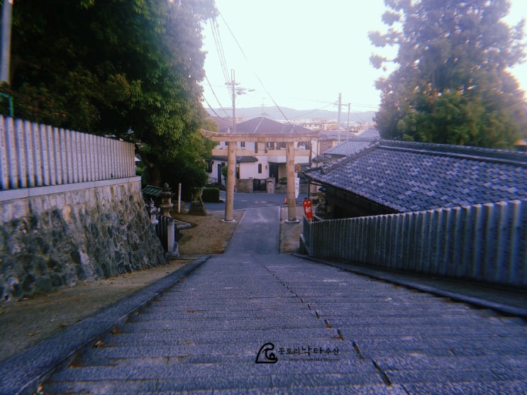  2019년 5월 21일, 숙소 앞 신사 코이즈미진쟈 (小泉神社）