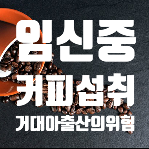  임신 중 커피 카페인 섭취, 거대아 출산?