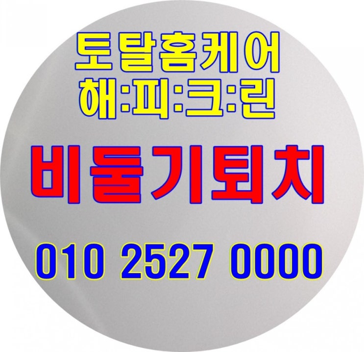  베란다비둘기가 알을 낳았어요 어떻게 해야 할까요 부산비둘기퇴치 경남비둘기퇴치 마산비둘기퇴치 창원비둘기퇴치 광주비둘기퇴치 전남비둘기퇴치