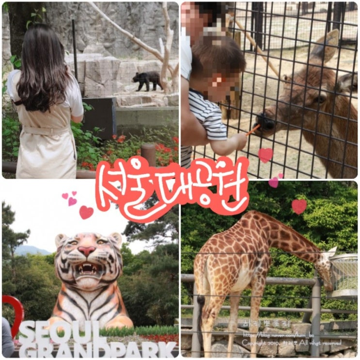  과천 서울대공원 동물원 알차게 관람했어요