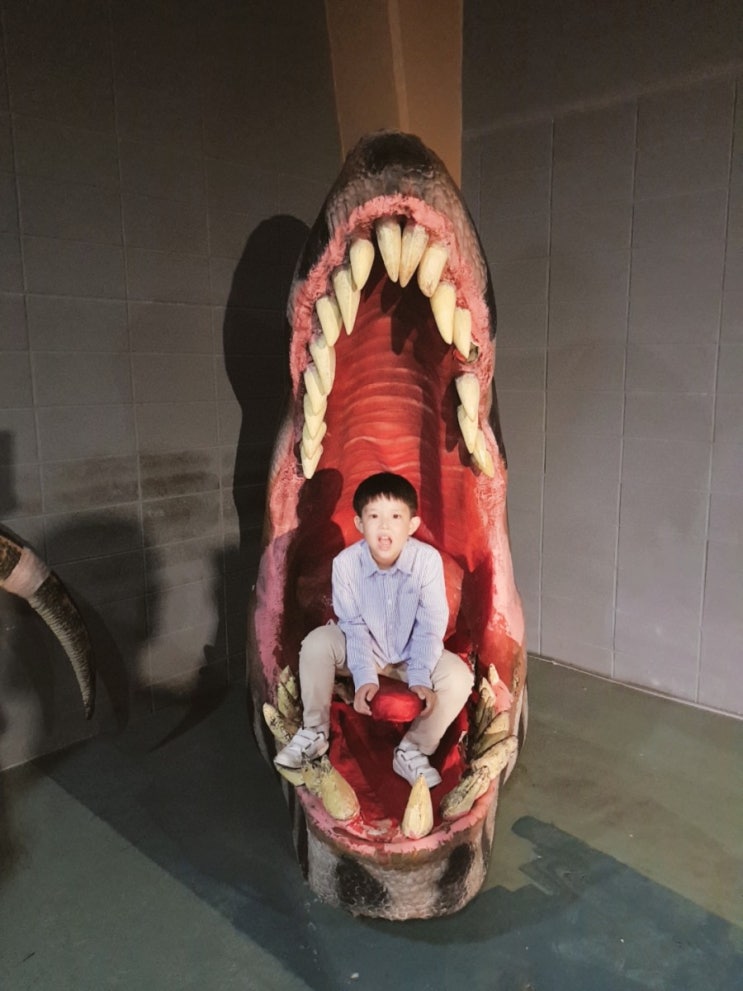  경기도 공룡 박물관 미호박물관 가볼만한 곳