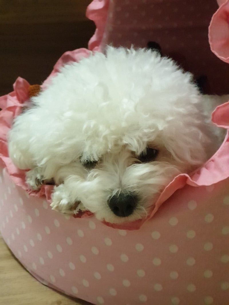 사진 2