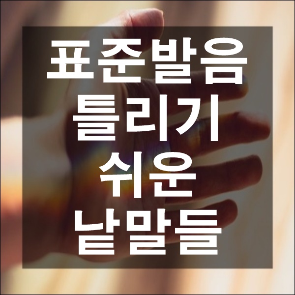  국어 공부 표준 모음 받침 발음법 음의 동화 틀리기 쉬운 발음 낱말 올바른 발음
