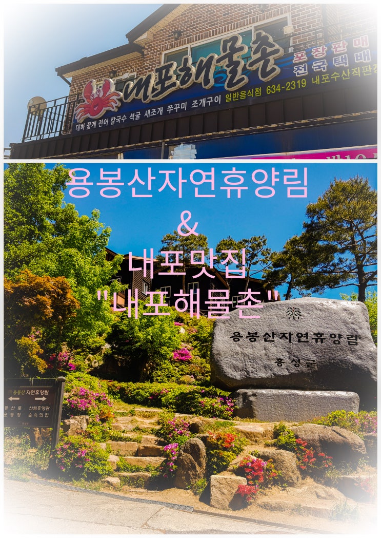 용봉산자연휴양림&내포맛집 "내포해물촌"