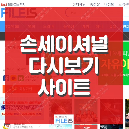  손세이셔널 다시보기 합법적인 재방송 보기GO!