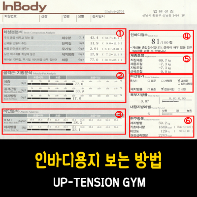  [모란피티, 성남피티, 태평피티, 모란인바디, 성남인바디] UP-TENSION GYM(업텐션 짐) - 인바디용지 보는 방법
