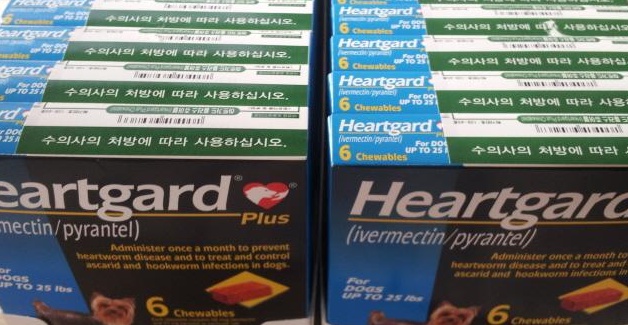  [허브약국/성동동물약국] 하트가드를 매달 먹이는데 구충제를 따로 먹여야 하나요? (성동구 동물약국)