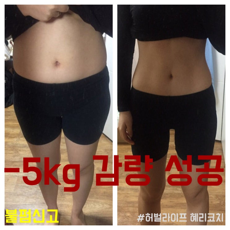  단백질 쉐이크 다이어트 효과 진짜 있을까?