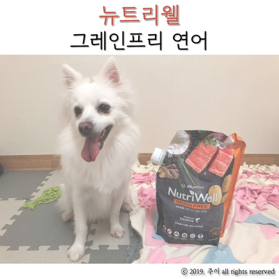  강아지사료 : 곡물은 배제하고 육류를 강화한 뉴트리웰 그레인프리