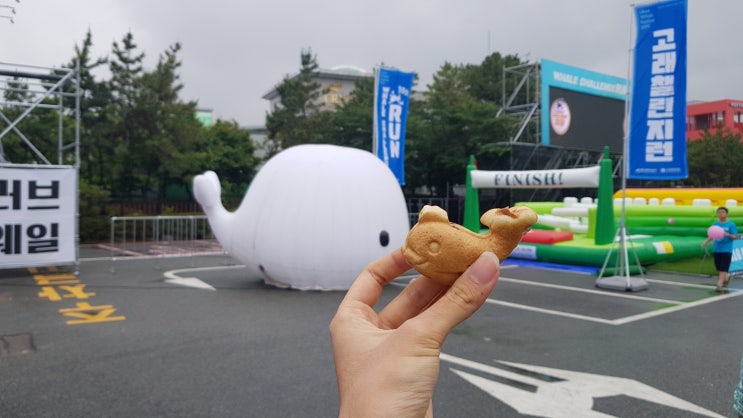  [정책체험] 울산 고래 축제에 다녀왔어요!