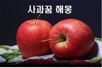  사과꿈 해몽 사과먹는꿈 보는꿈 사과줍는꿈 깎는꿈