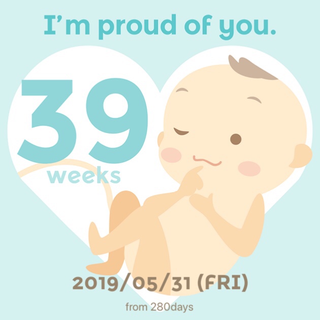  임신 39주 기록 : 태동검사, 태아몸무게, 내진