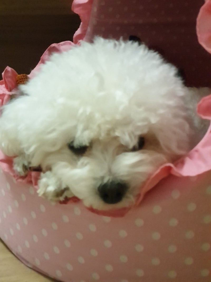 사진 3