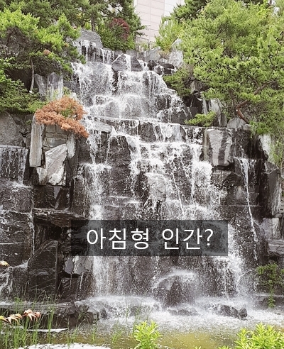  새벽시간ㅡ미라클모닝