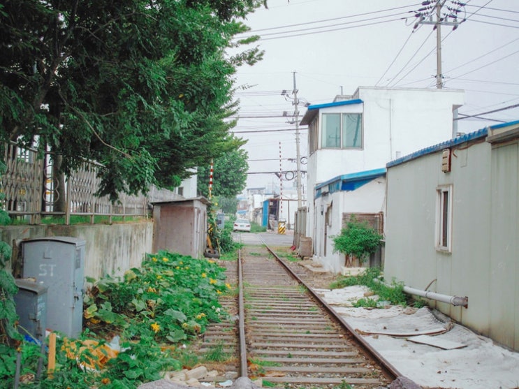 군산 여행 | 경암동 철길마을, 진포해양공원, 군산 짬뽕, 해망굴, 신흥동 일본식 가옥