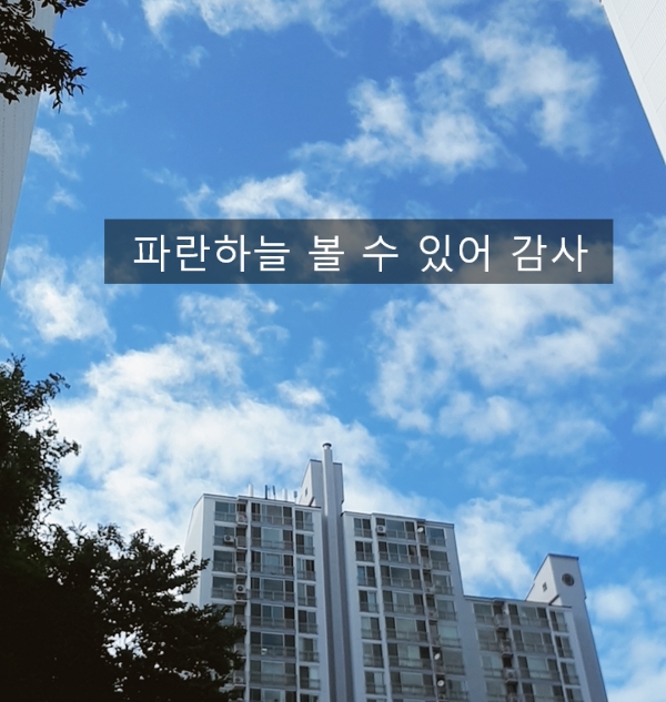  감사일기와 긍정확언