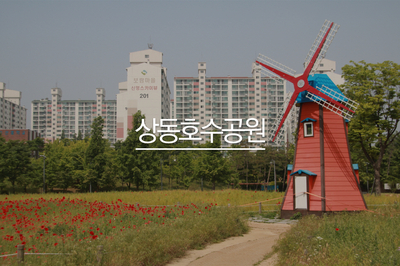  6월 가볼만한곳 부천 상동호수공원 양귀비 구경