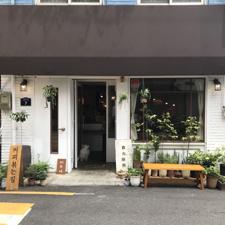  용문동카페 카페미우(가배미우) 용산 카페추천 분위기 최고 신상카페!
