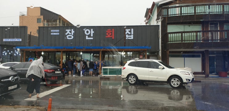  강릉 먹방 여행(2) 인생미역국 :: 다시찾은 장안횟집 :: 우럭미역국, 오징어물회, 가자미회덮밥