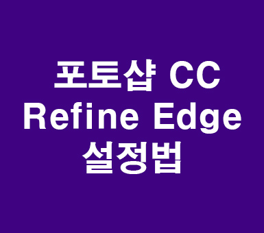 포토샵 CC Refine Edge 설정법 포토샵 CC Refine Edge 설정법