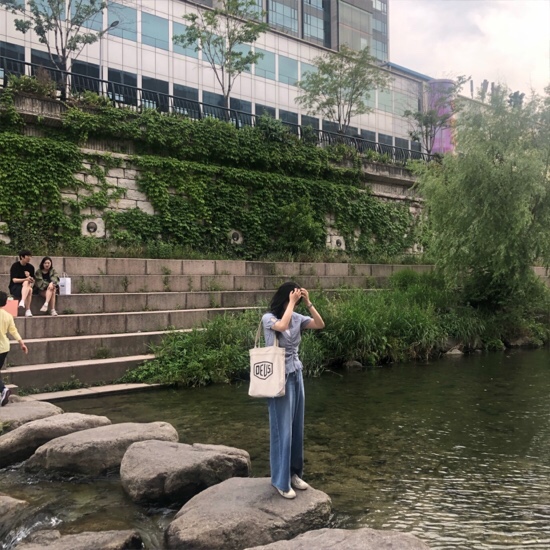  시구 속에서