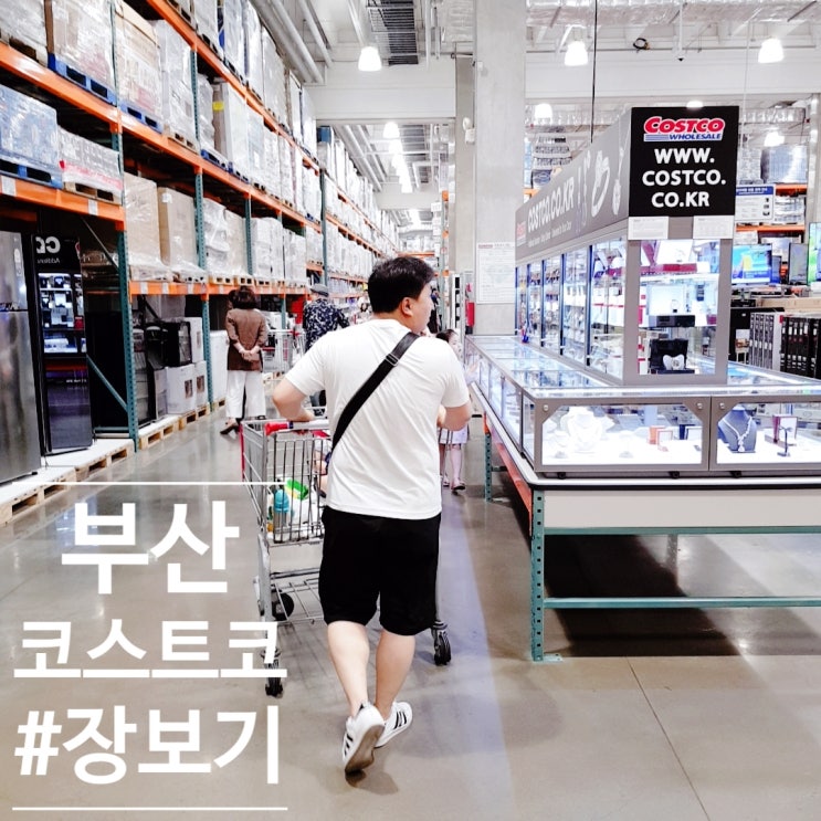  코스트코 부산 6월 할인 신상품 추천상품 장보기 feat 현대카드