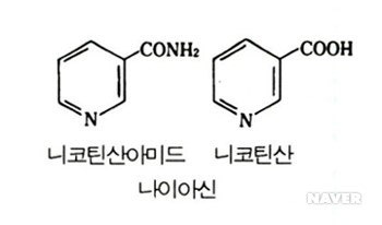 비타민B3(니코틴산아마이드) 효능권장량결핍증 과다섭취
